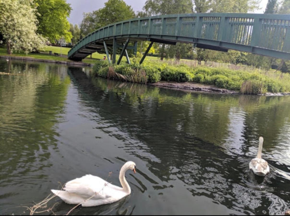 Beddington Park Lodge West Валингтон Экстерьер фото