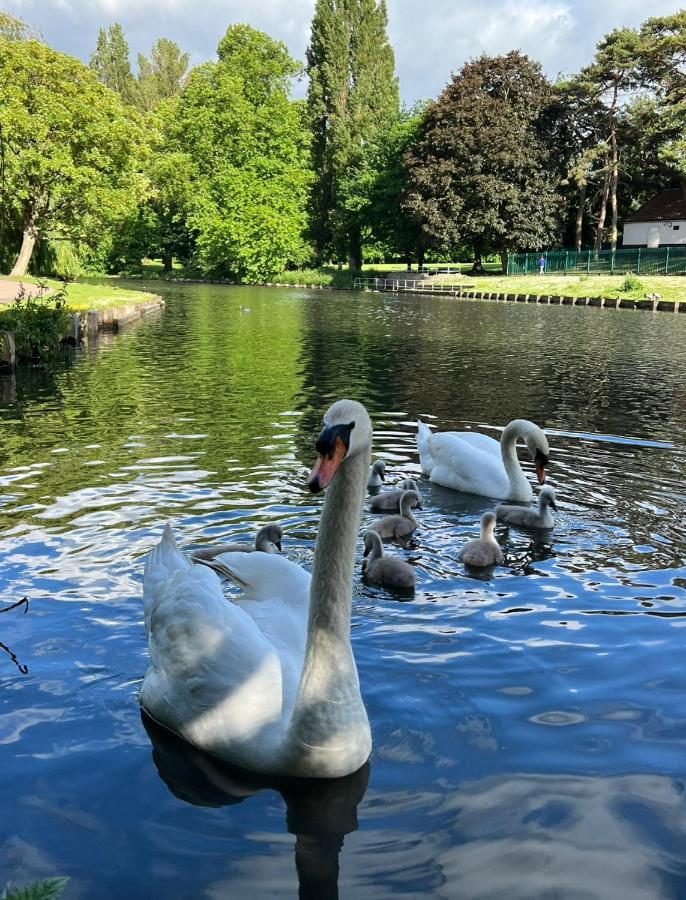 Beddington Park Lodge West Валингтон Экстерьер фото