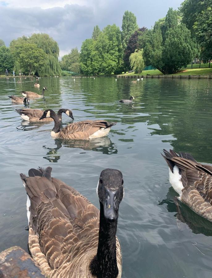 Beddington Park Lodge West Валингтон Экстерьер фото