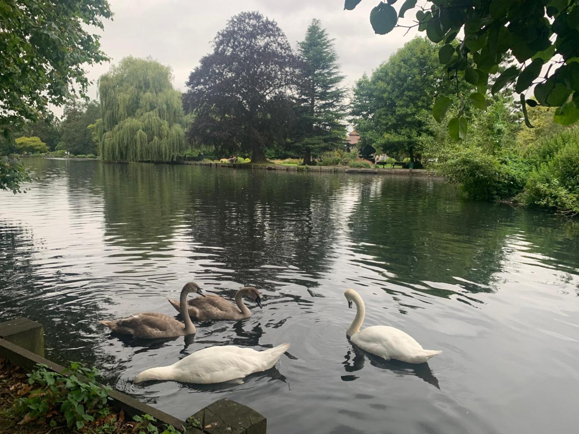 Beddington Park Lodge West Валингтон Экстерьер фото